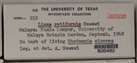 Image Associated With the Occurence